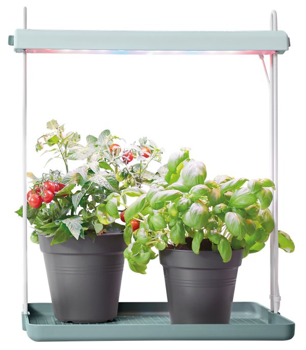 light garden 26cm blad groen